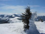 20120315 Nagy Bihar2000